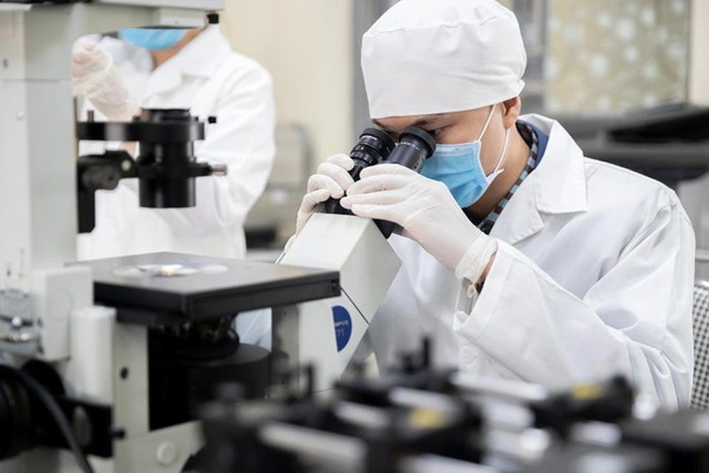 Tóm tắt điểm nổi bật của bài viết